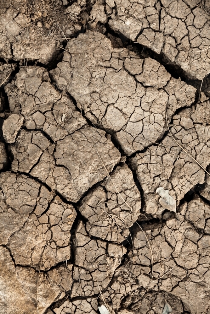 Dry cracked earth and mud in dried up farm dam - Australian Stock Image