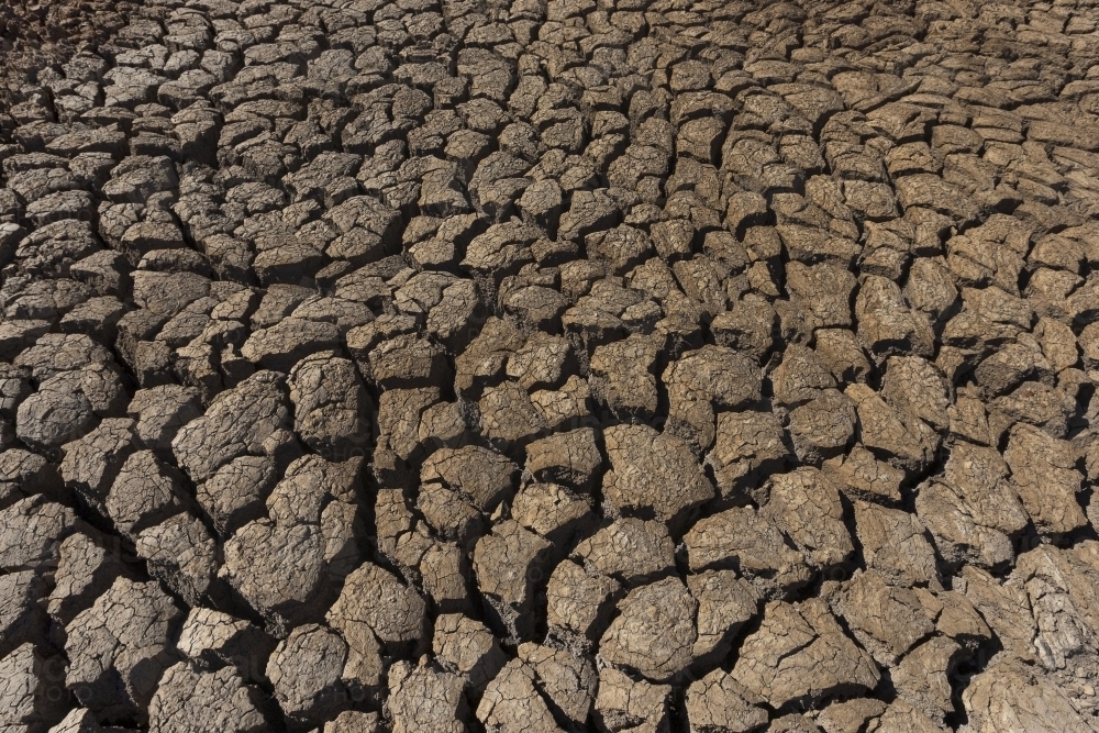 Dry cracked earth texture - Australian Stock Image