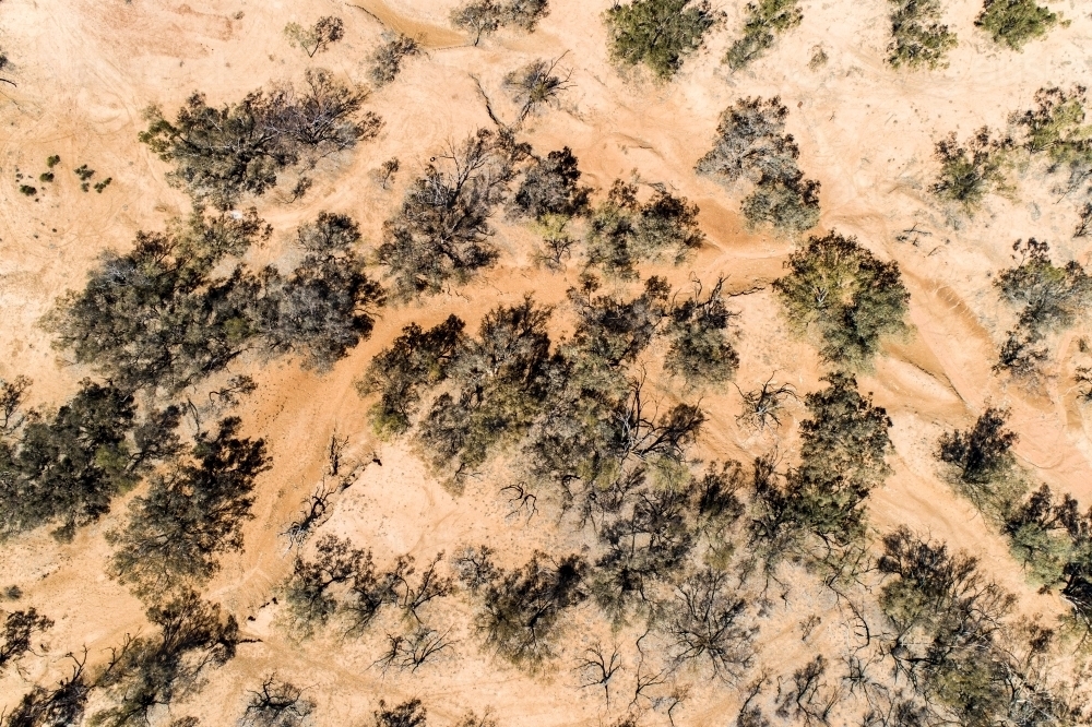 Dry creek bed in western Queensland. - Australian Stock Image