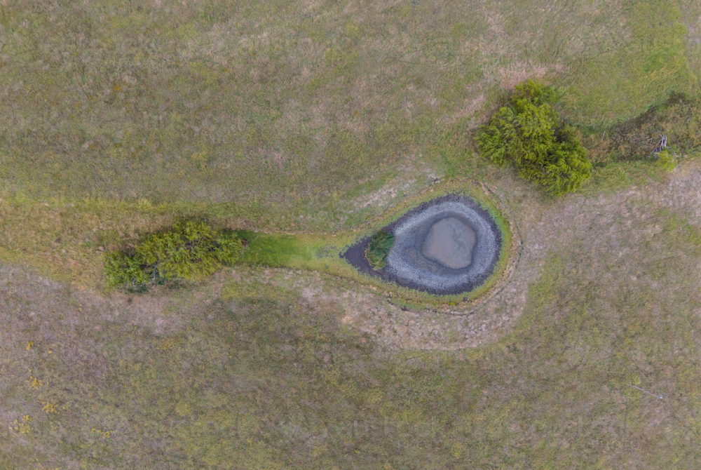 Dry Dam on a Farm near Glen Innes, New South Wales - Australian Stock Image