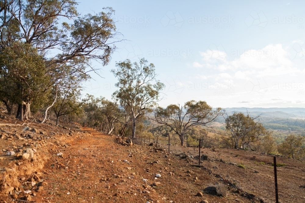 Dry dirt track through paddock beside fence - Australian Stock Image