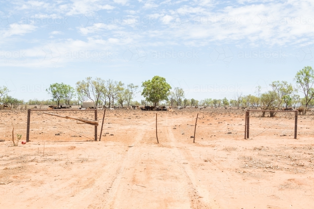 Dry, dusty outback Queensland cattle station fence - Australian Stock Image