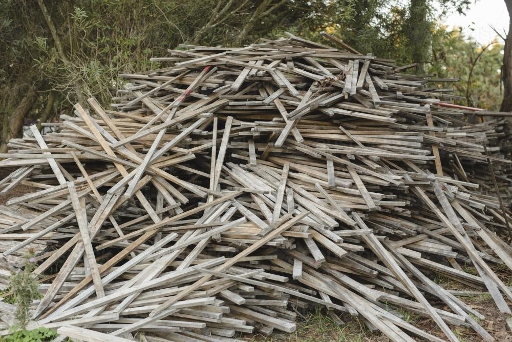 Dry fire wood sticks in a messy heap - Australian Stock Image