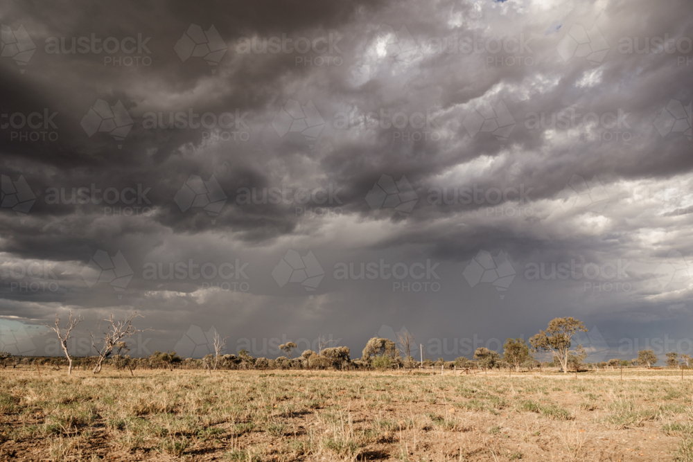 Dry grassland under the dark cloudy skies - Australian Stock Image
