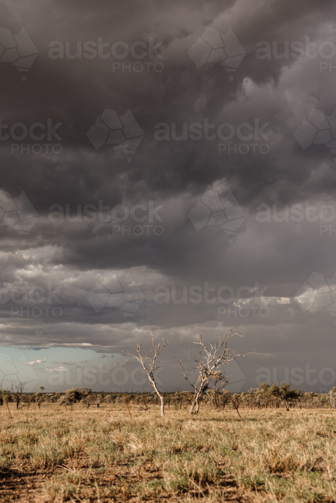 Dry grassland under the dark cloudy skies - Australian Stock Image