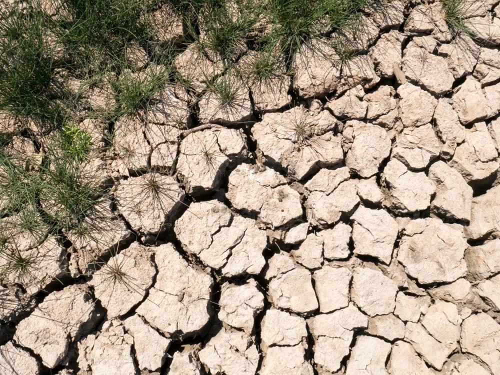 Dry mud showing cracks from lack of rain - Australian Stock Image