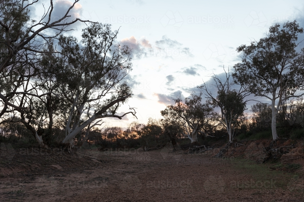 dry riverbed in the evening - Australian Stock Image
