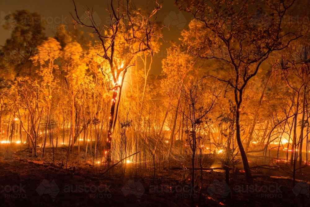 Dry season bushfire - Australian Stock Image