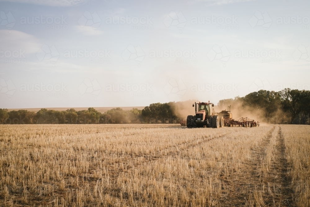 Dry seeding crop into stubble in paddock in the Avon Valley of Western Australia - Australian Stock Image
