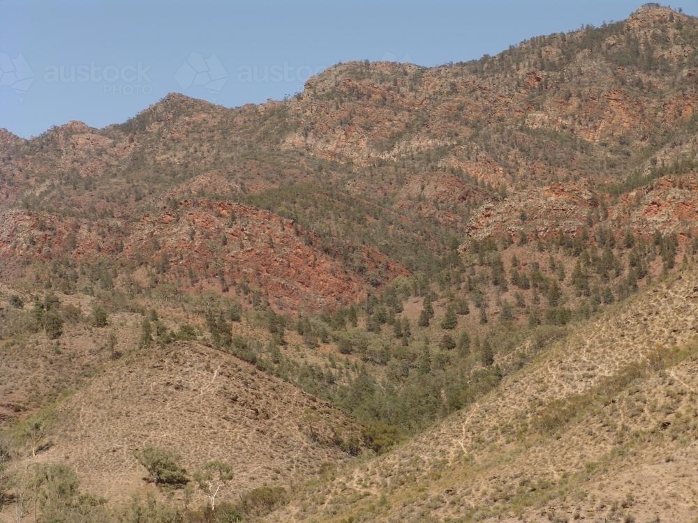 Dry, sparsely covered hillside of Elder Range - Australian Stock Image