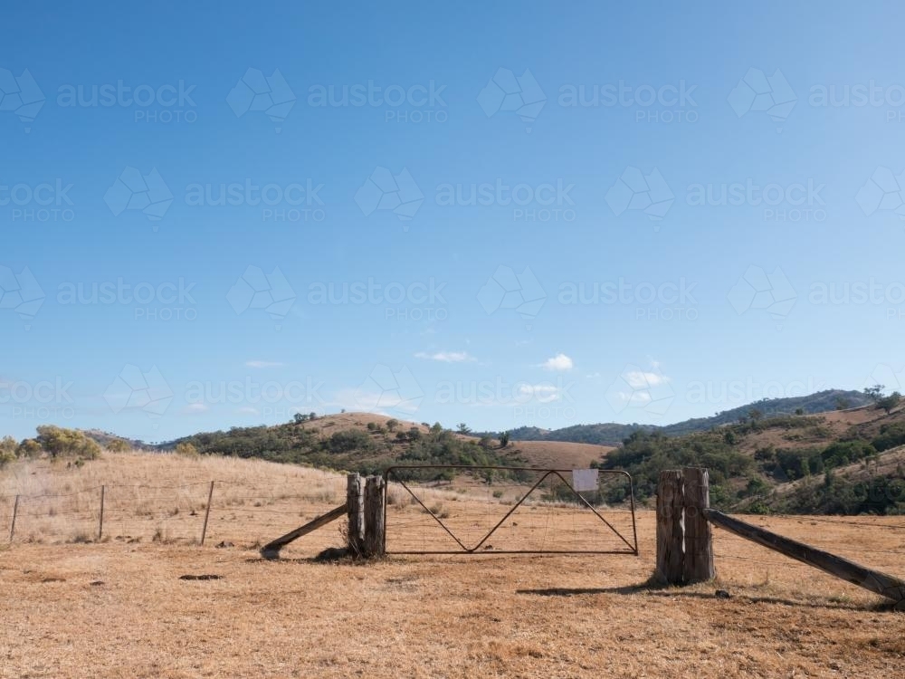 Dry summer countryside with brown grass and clear blue sky - Australian Stock Image