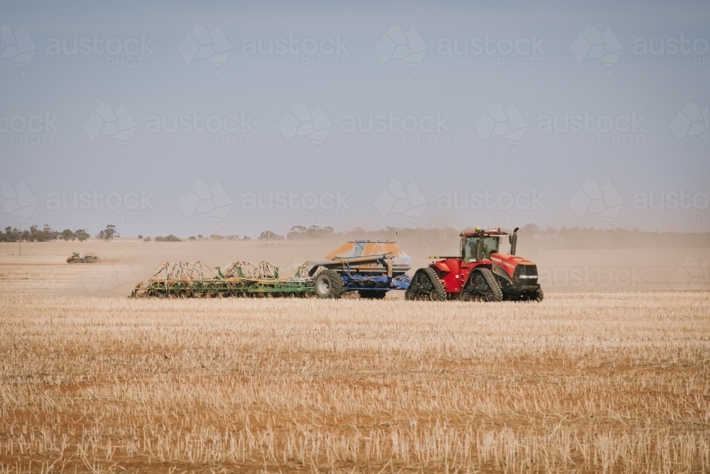 Dry weeding wheat in Bencubbin in Western Australia - Australian Stock Image