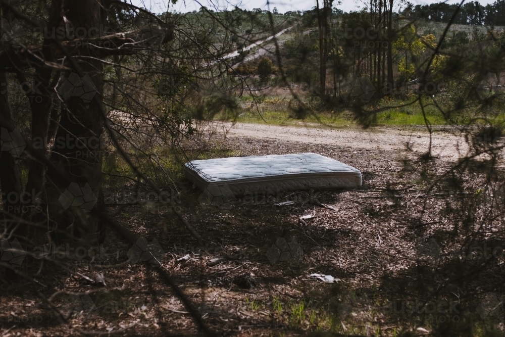 Image of Dumped mattress in pine forest Austockphoto