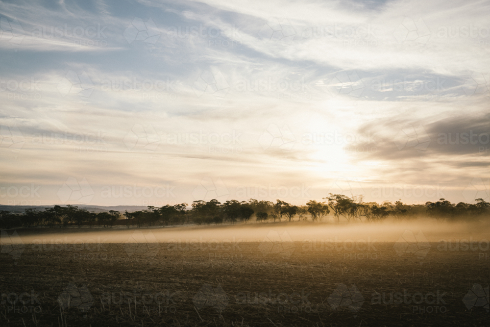 Dust settling over paddock on sunset during dry seeding in the Avon Valley of Western Australia - Australian Stock Image