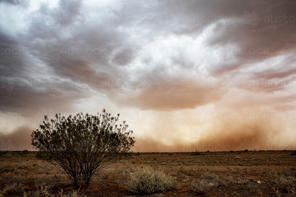 Dust storm rolling across plains - Australian Stock Image