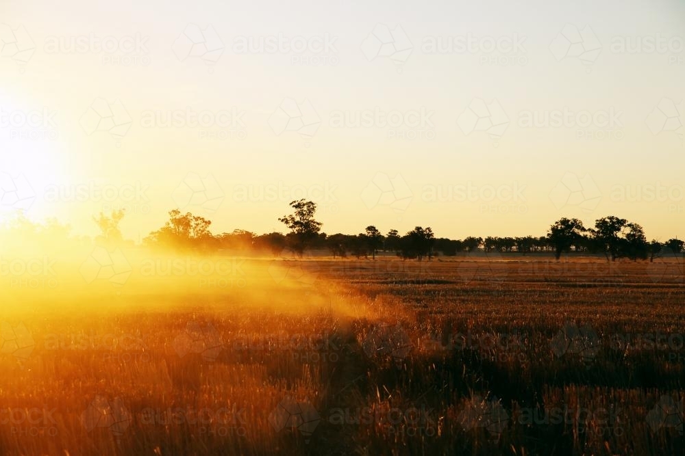 Dusty Field - Australian Stock Image