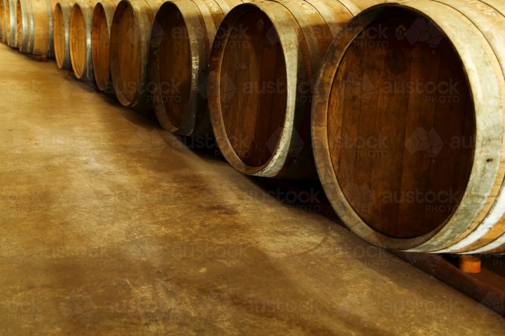 Dusty oak wine barrels in a Western Australia winery. - Australian Stock Image