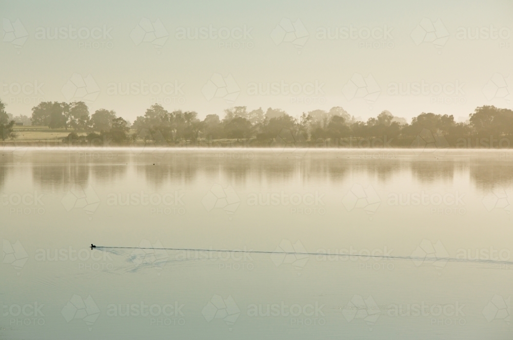 Early morning and glassy water at lake towerrinning - Australian Stock Image