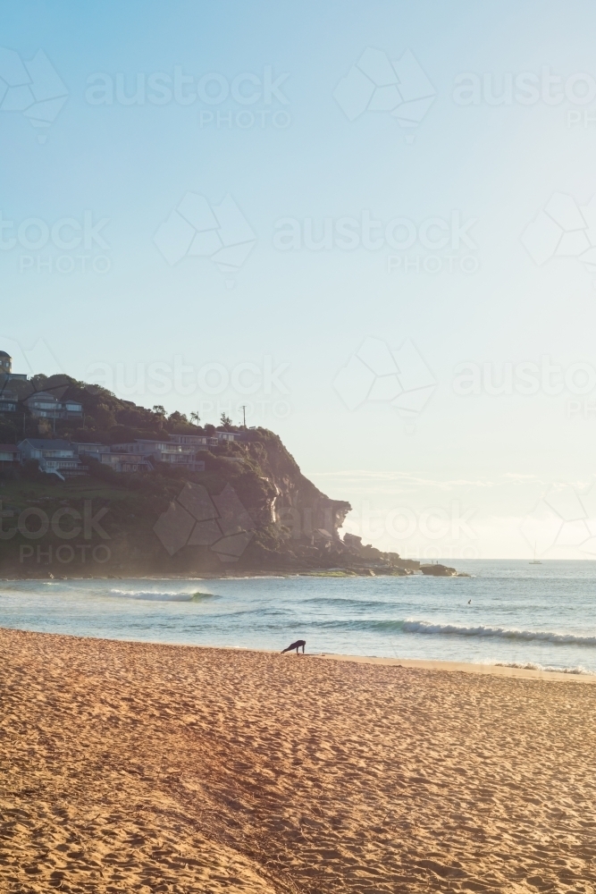 Early morning at the beach, a surfer doing push ups - Australian Stock Image