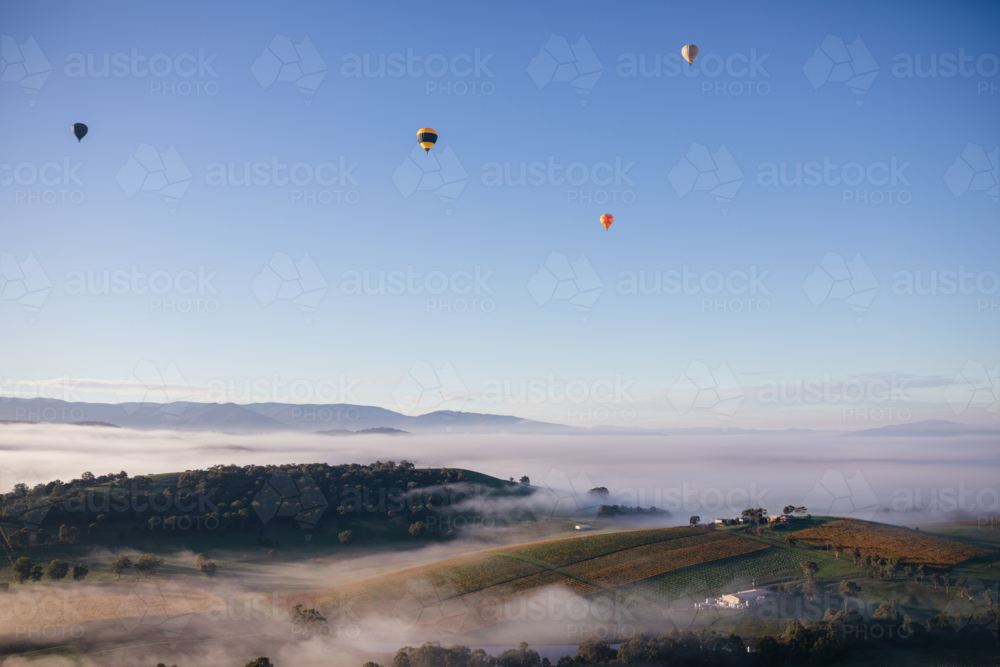 Early Morning Balloon Flight - Australian Stock Image