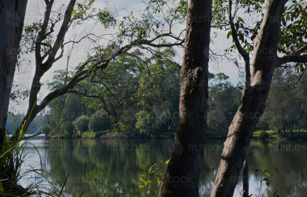 Early morning by the river - Australian Stock Image