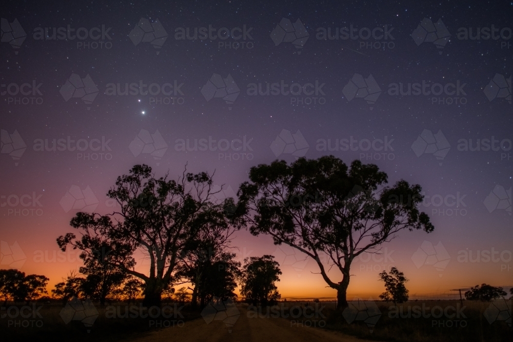 Early morning dawn along a country road through the trees - Australian Stock Image