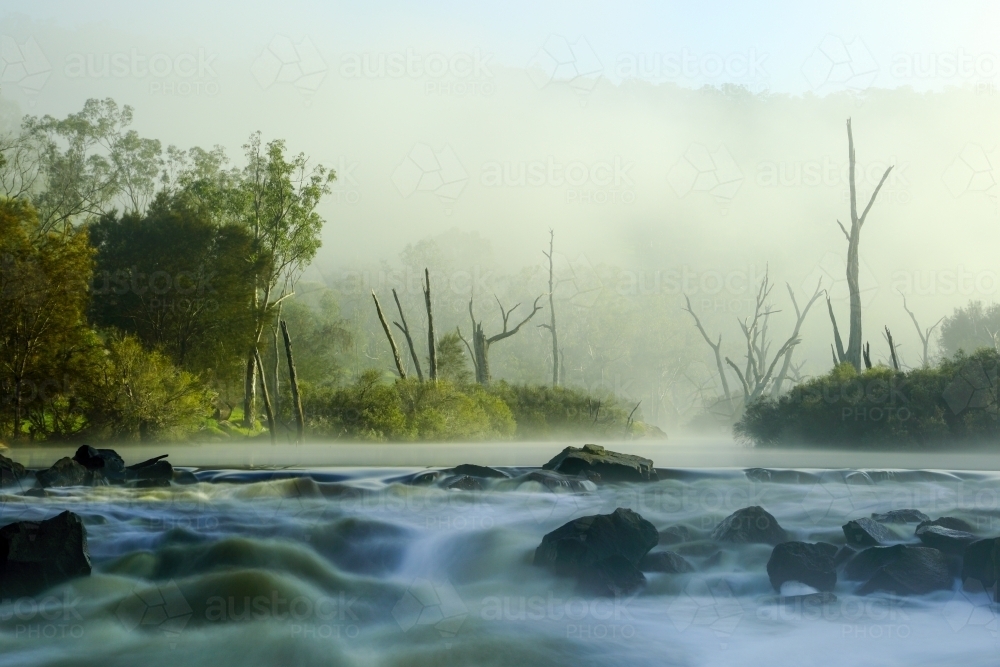 Early morning fog caresses the Avon River - Australian Stock Image