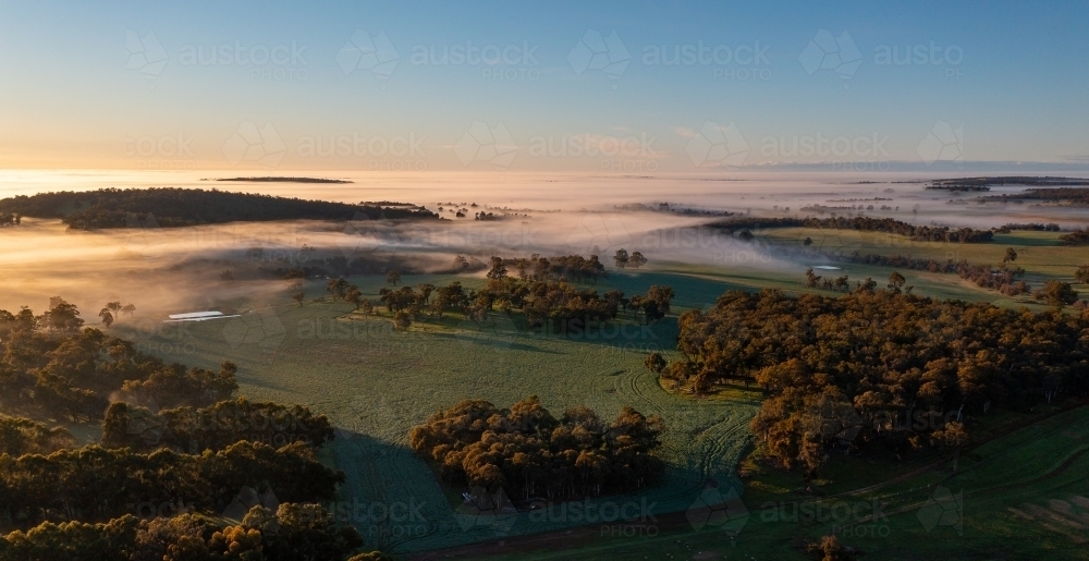 early morning fog hanging over landscape with farmland and trees - Australian Stock Image