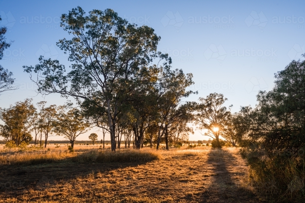 early morning in rural setting - Australian Stock Image