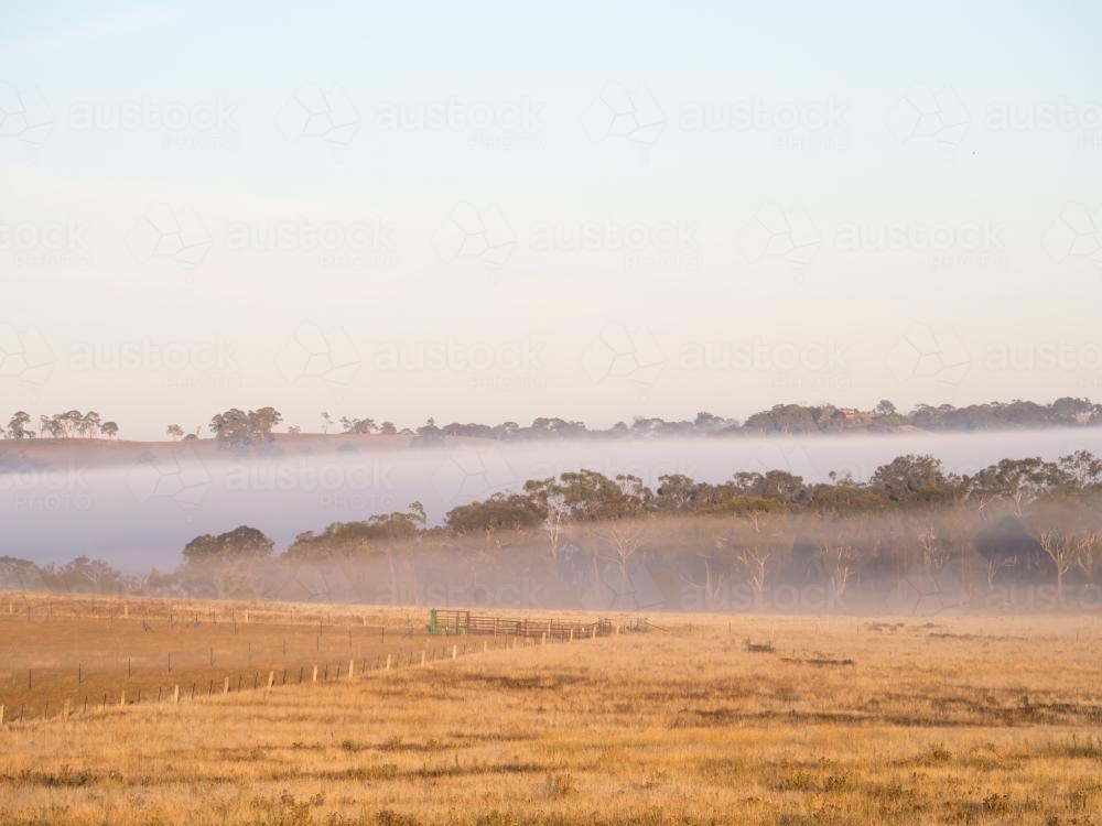 Early morning mist in valleys with grass field - Australian Stock Image