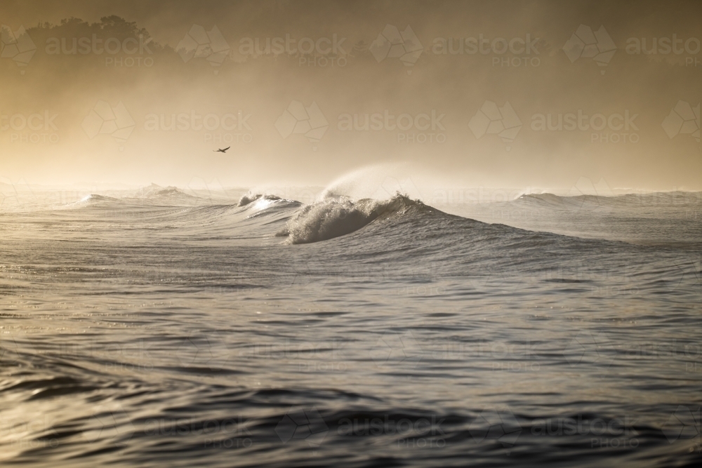 early morning misty beach scene - Australian Stock Image