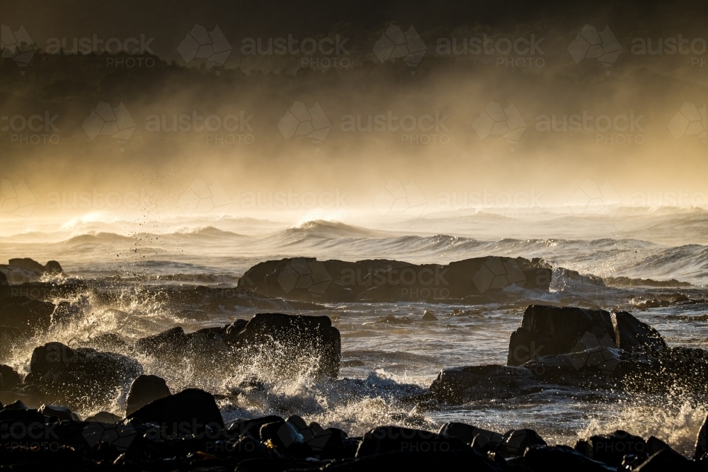 early morning misty beach scene - Australian Stock Image