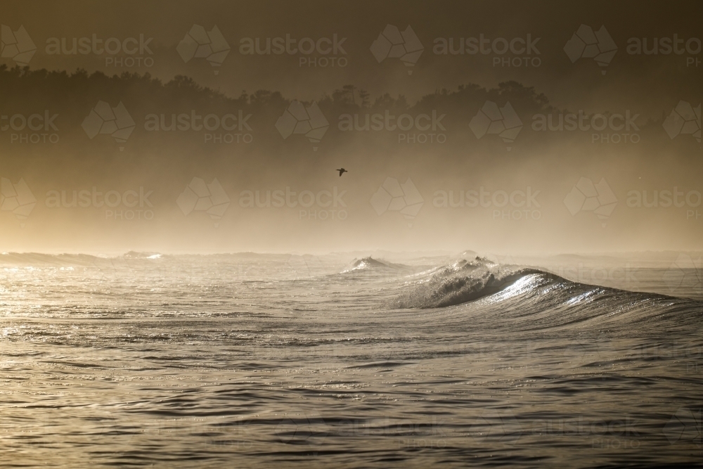 early morning misty beach scene - Australian Stock Image
