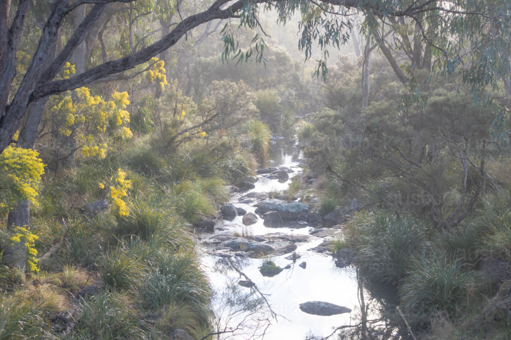 Early morning over a country creek - Australian Stock Image
