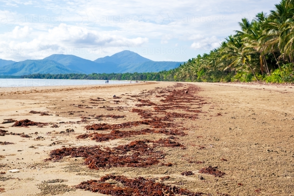 early morning relaxing tropical beachscape - Australian Stock Image