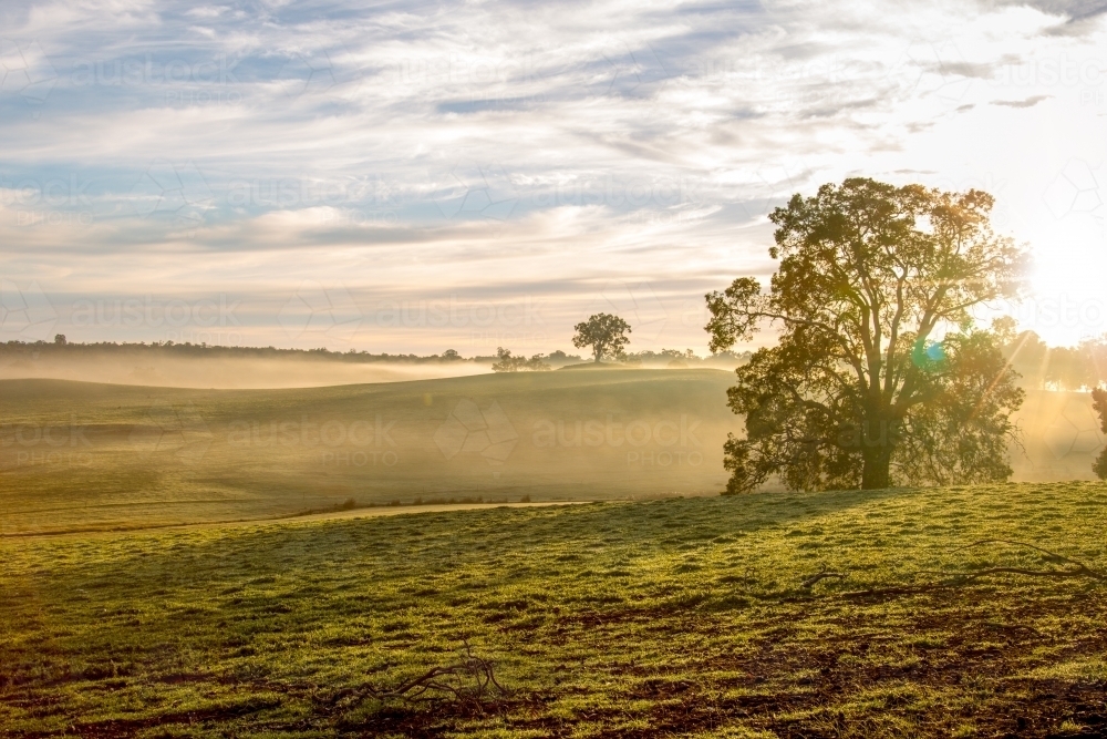Image of Early morning rural scene across rolling hills - Austockphoto