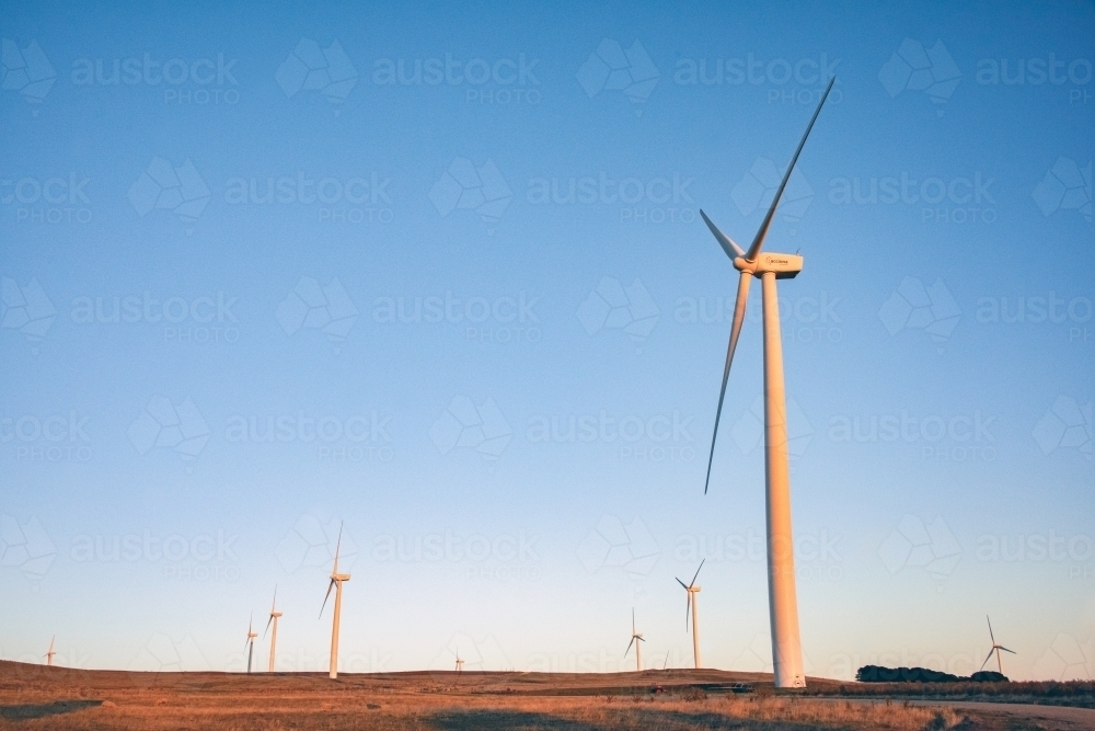 Early morning sun hitting the wind turbine farm - Australian Stock Image