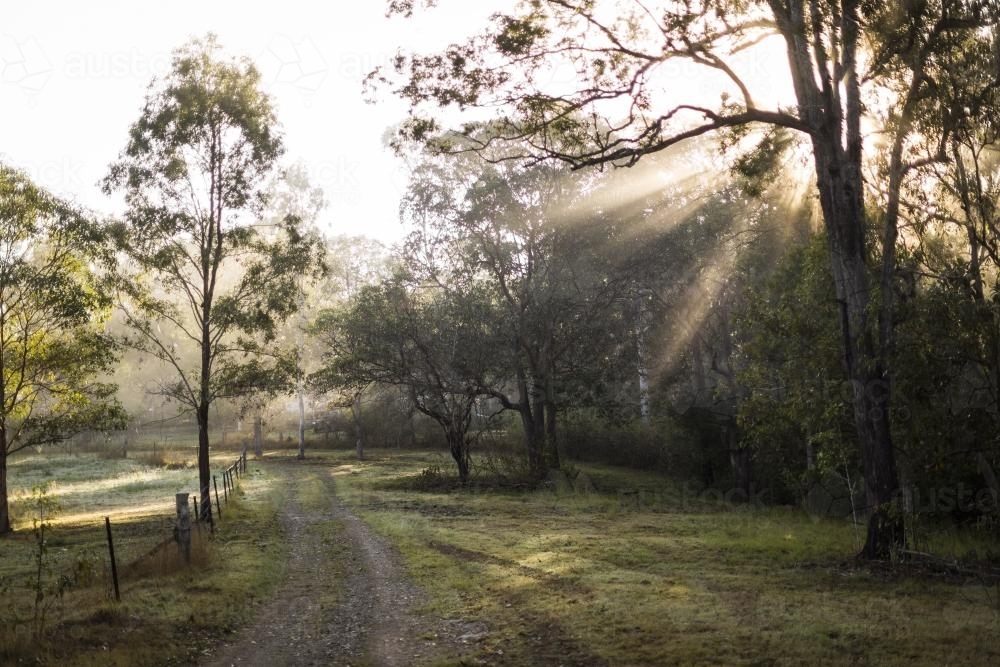 Early morning sunlight on the farm - Australian Stock Image