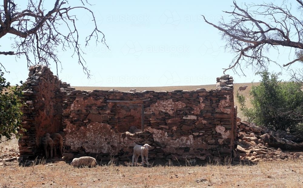 Early settler house in ruin - Australian Stock Image