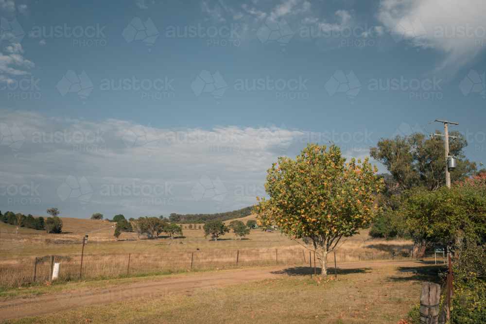 Image of Early signs of Autumn approaching with leaves beginning to ...