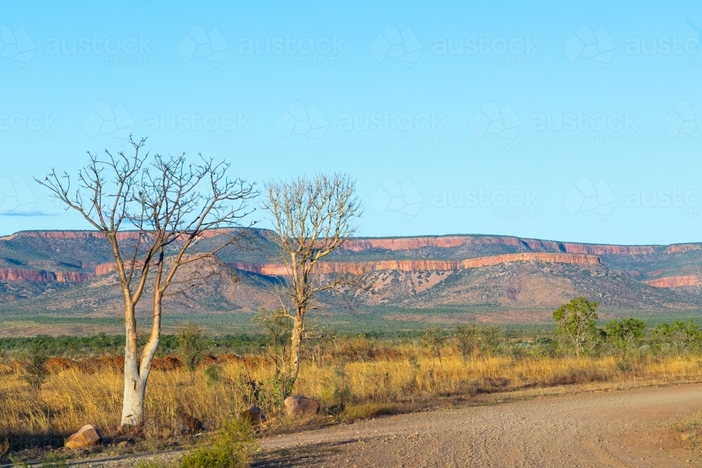 east kimberley landscape with cockburn range and leafless young boabs - Australian Stock Image