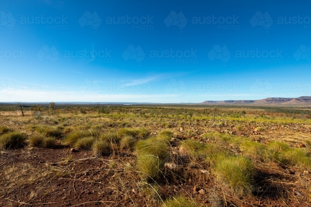 east Kimberley landscape with spinifex grasses and ranges on the horizon - Australian Stock Image