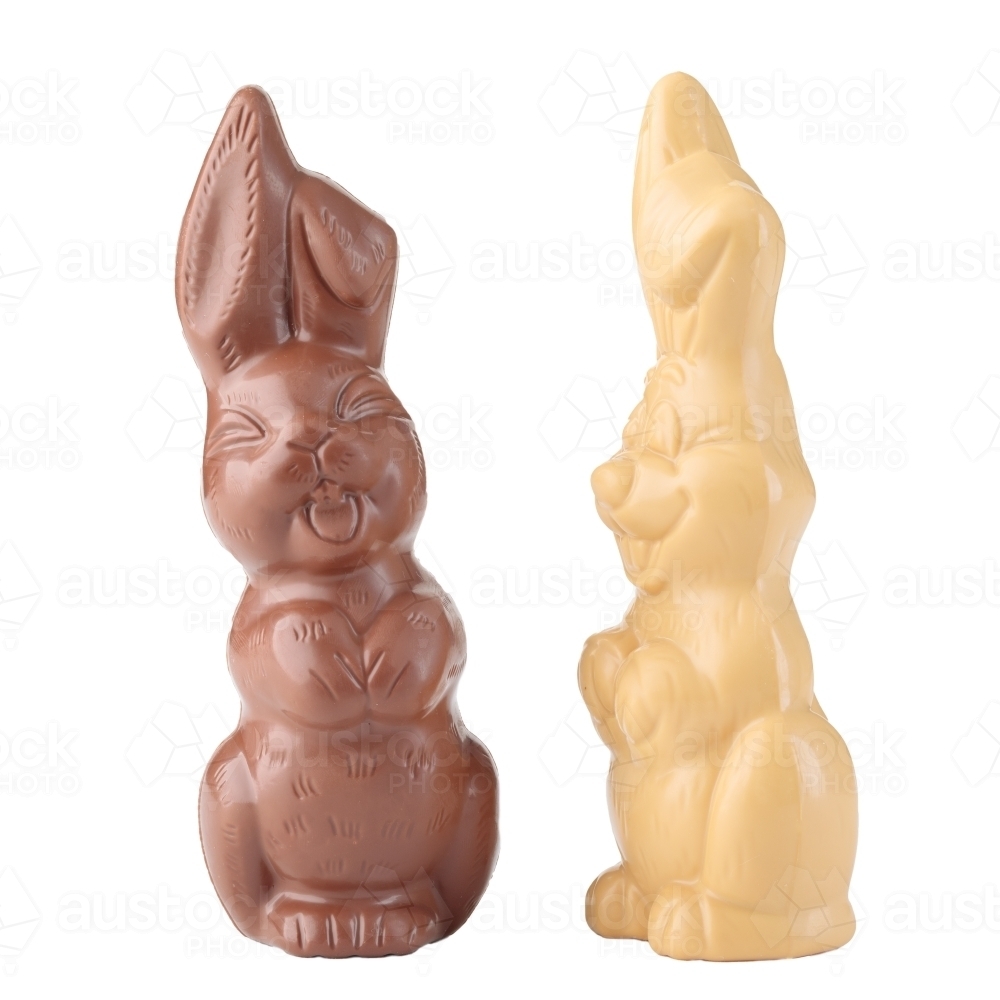 Easter chocolate bunnies on white background - Australian Stock Image