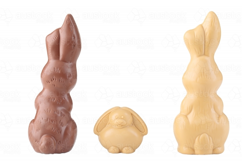 Easter chocolate bunnies on white background - Australian Stock Image