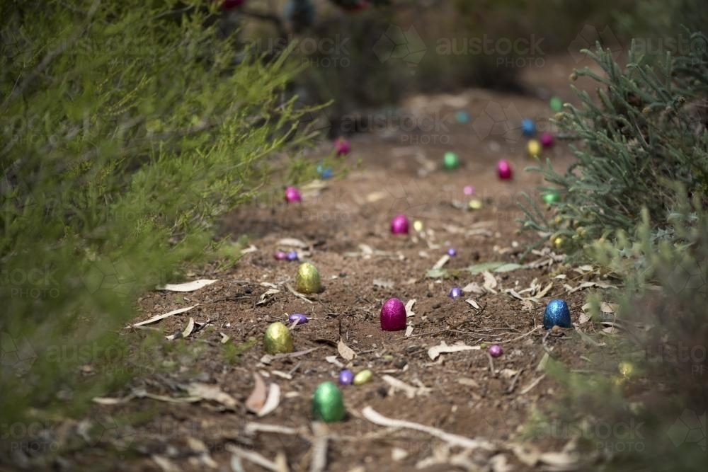 Easter egg hunt in Australian Bush - Australian Stock Image
