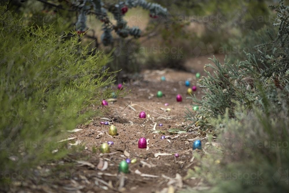 Easter egg hunt in Australian Bush - Australian Stock Image