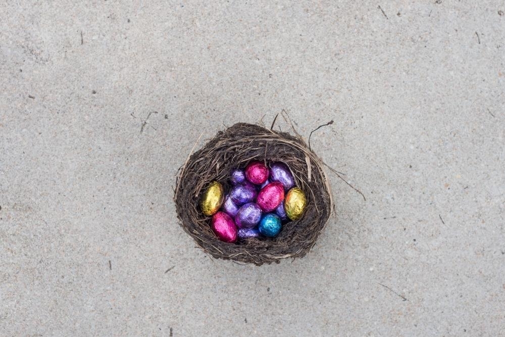 easter eggs in a bird's nest - Australian Stock Image
