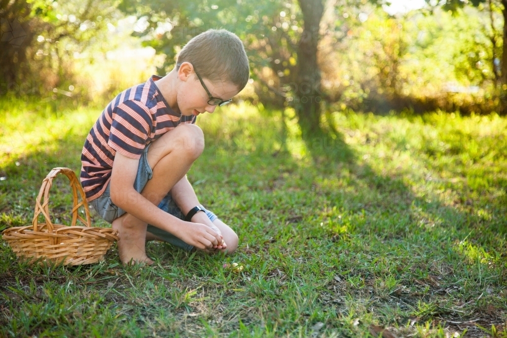 Eight year old boy finding eggs on an Easter egg hunt - Australian Stock Image