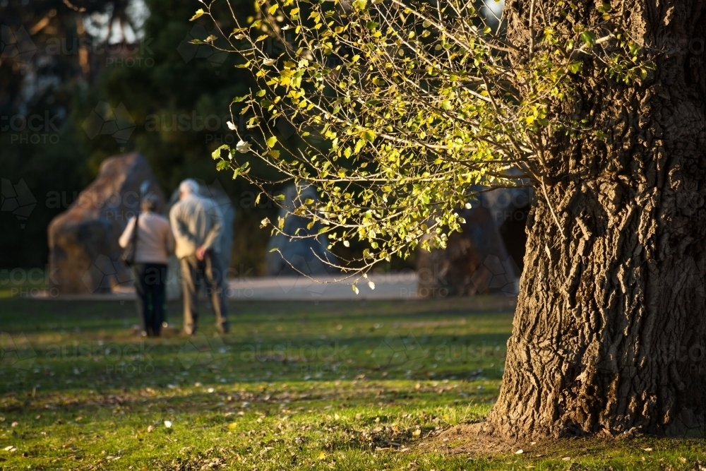 Elderly couple walking in the gardens - Australian Stock Image