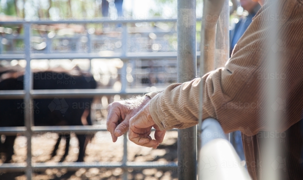Elderly farmer leaning on fence at cattle yard - Australian Stock Image